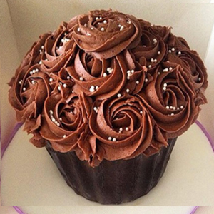 vegan chocolate cake from vegan antics